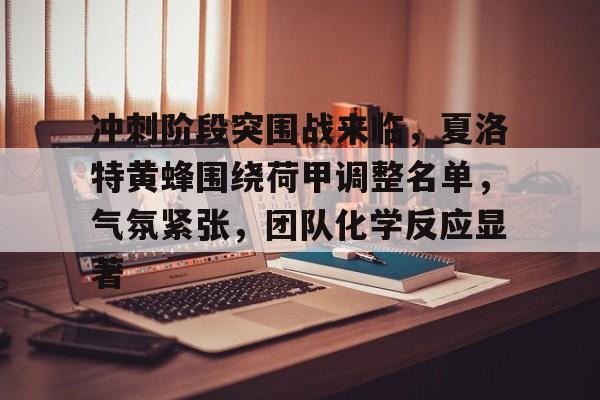 开云中国官网-冲刺阶段突围战来临，夏洛特黄蜂围绕荷甲调整名单，气氛紧张，团队化学反应显著的简单介绍